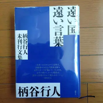 먼 나라 먼 말 : 가라타니 고진 미수록 문집