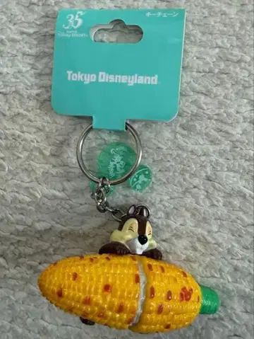 도쿄 디즈니랜드 35주년 칩 키링