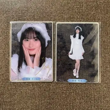 노기자카46 화이트 크리스마스 카드 15장 세트