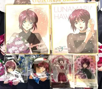 건담 SEED FREEDOM 메모리 CAN배지 색지 루나마리아