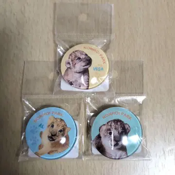 논호이 파크 사자 아기 유리 마그넷 3개 세트