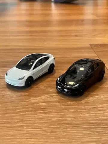 테슬라 모델 y 2대 묶음 판매