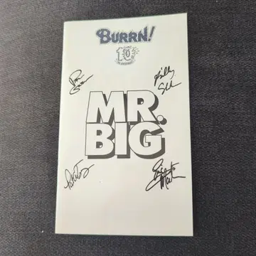 [ 레어 ] MR.BIG 1995 CALENDER