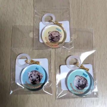 논호이 파크 사자 아기 멀티 참 3개 세트