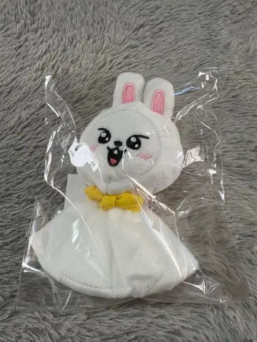 [ 공식 ] Stray Kids 스키즈 리노 백참 테루테루보즈