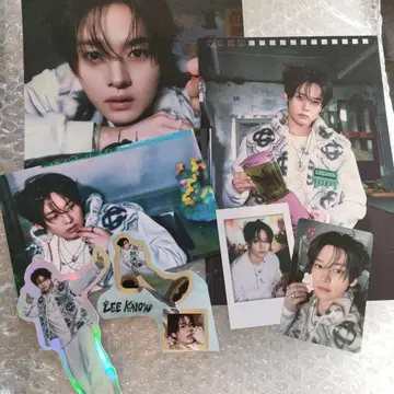 스키즈 stray kids 시즌 그리팅 본국 한국 리노