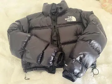 THE NORTH FACE 블랙 다운 자켓