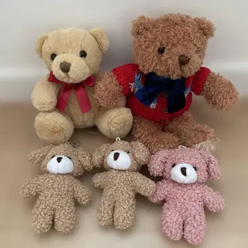 테디베어 봉제 인형 5개 세트