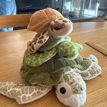 거북이 봉제 인형 세트 대중소