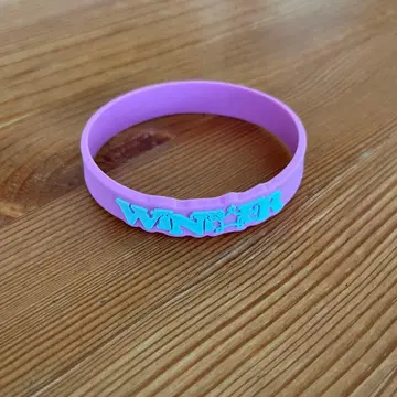 aespa 윈터 응원봉 액세서리