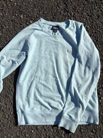 patagonia 오가닉 코튼 트레이닝복 M 라이트 블루