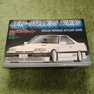 [레어 당시물] 후지미 1/24 R30 뉴먼 스카이라인 철가면