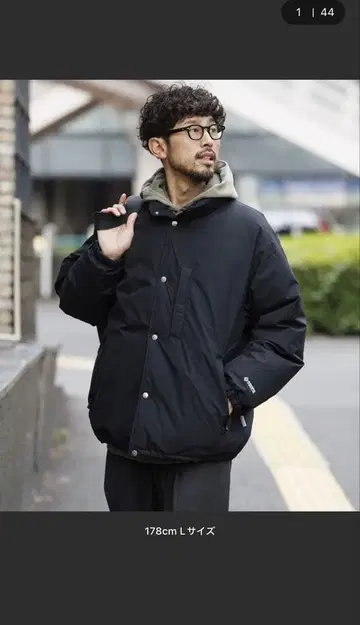 다운 자켓 / phenix / 플러스 피닉스 별주 GORE-TEX