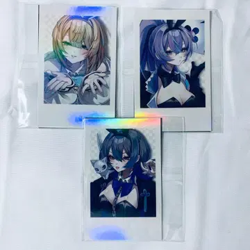 니지산지 니지 창작 폴라로이드 히바치 마나 호시미치 쇼 코야나기 로우