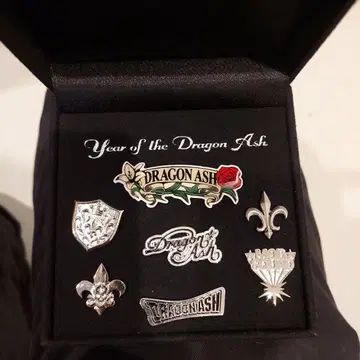Dragon Ash 배지 세트 은색 로고