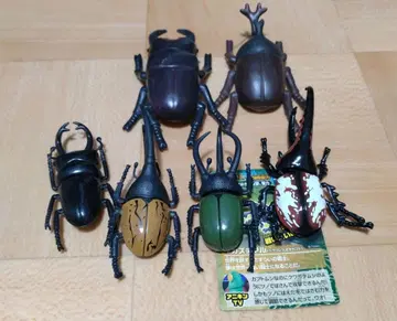 곤충 피규어 모음 아니아 무시킹 마법의 장수풍뎅이