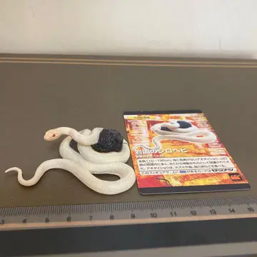 주간 일본의 천연기념물 이와쿠니의 하얀 뱀