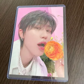 SEVENTEEN THE8 디에이트 셀피 포토