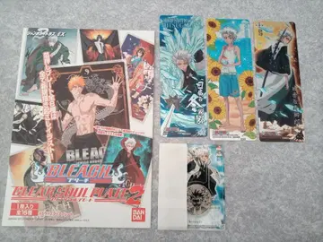 BLEACH 히즈카야 토시로 클리어 플레이트 클리어 카드 카드다스 메달