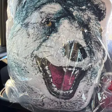 제일복권 MAN WITH A MISSION G상 페이스 쿠션