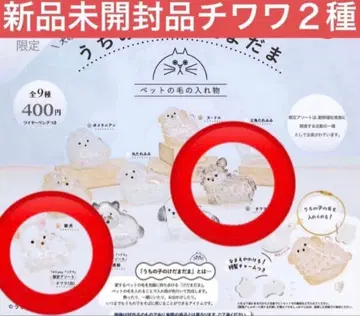우리 집 털뭉치 강아지 치와와 블랙 화이트 2개 세트 한정판 모듬