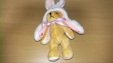 TULLY'S COFFEE 간지 테디 토끼