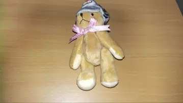 TULLY'S COFFEE 2022년 호랑이 해 테디베어