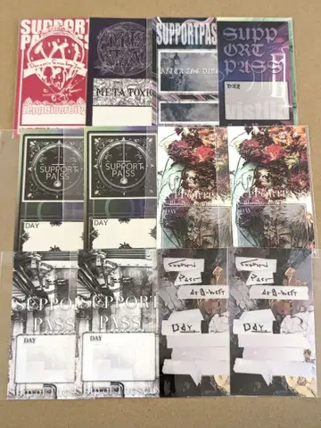 vistlip 서포트 패스 낱개 판매 가능