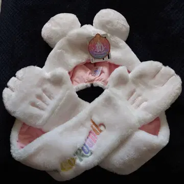 디즈니랜드 40주년 팬캡