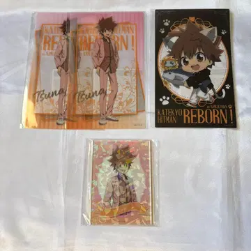 사와다 츠나요시