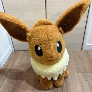 포켓몬 센터 클래식 보아 봉제 인형 이브이 피카피카 박스