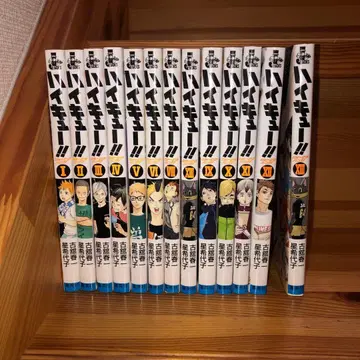 하이큐!! 쇼세츠반!! 소설판 1-13권