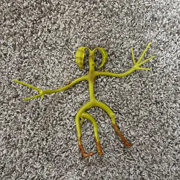 신비한 동물사전 피켓 보우트러클 피규어