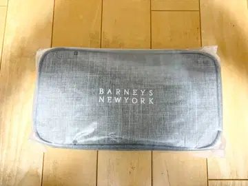 바니스 뉴욕 파우치