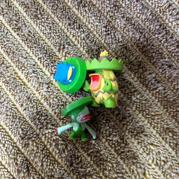 입체 포켓몬 도감 로토스 하스브레로 루네알라