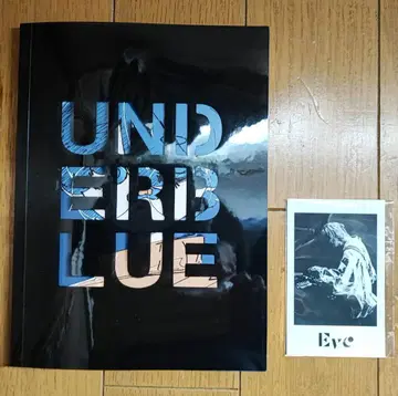 Eve Arena Tour 2025 완전 생산 한정판 소책자 스티커