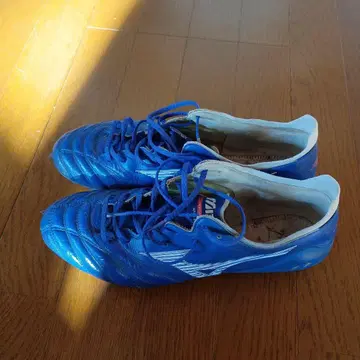 모렐리아 네오 3 블루