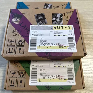 bts V 레이 오버 3 형태