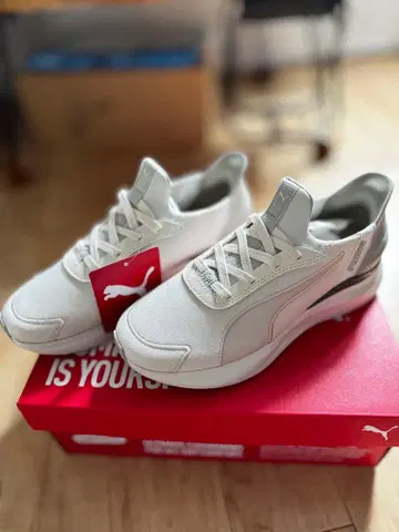 Puma 화이트 스니커즈 22.5CM