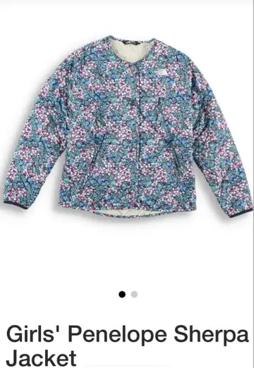 The North Face Penelope Sherpa Jacket