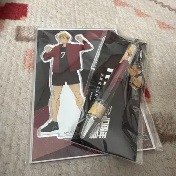 하이큐 미야 아츠무 세트