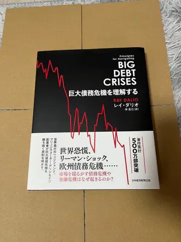 거대 채무 위기 이해하기