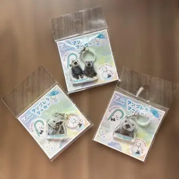 도바 수족관 랏코 키라 메이 엄브렐라 마커 3종 세트