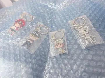 일하는 세포 아크릴 키링