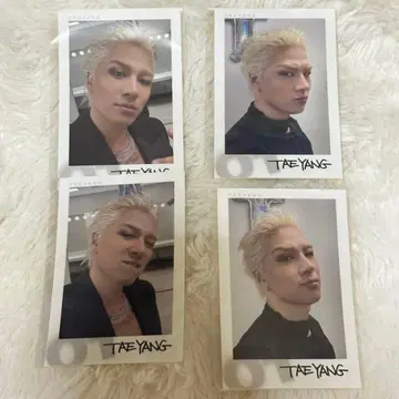 TAEYANG 온라인 복권 E상 스티커 전 종류