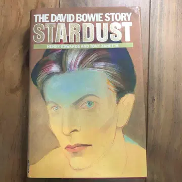 THE DAVID BOWIE STORY STARDUST