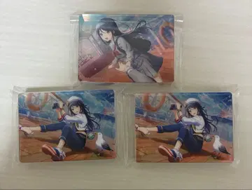 프로세카 호시노 이치카 노블 아트 컬렉션 vol.63 64