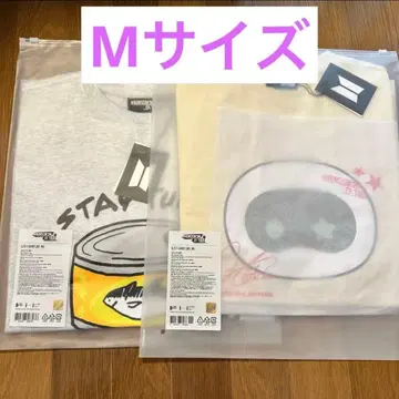 진 솔로 콘서트 탈석 란석진 투어 T M 사이즈