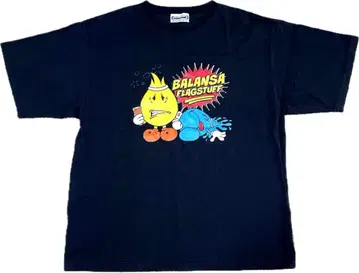 FLAGSTUFF x balansa 티셔츠
