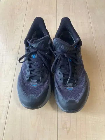 HOKA ONE ONE SPEEDGOAT 5 GORE-TEX